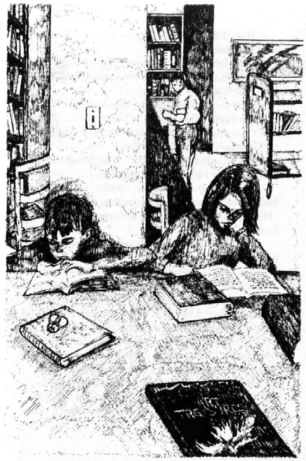 from-the-mixed-up-files-image2