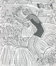 GarnetHarvestingOats