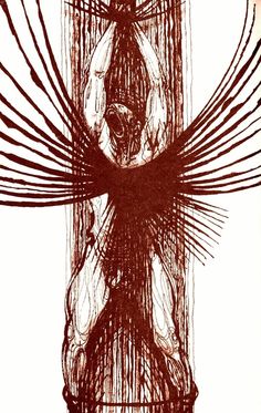 2c0b455caec9aa1a06afe48b2c23e386