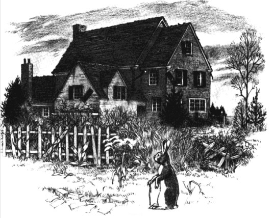 09d776bf651e78c51f98b2e22476e6a7