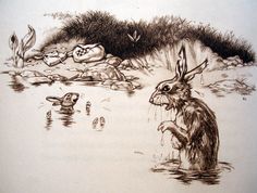 ae42220e896f9e36912293e72c46efa9--rabbit-robert-richard